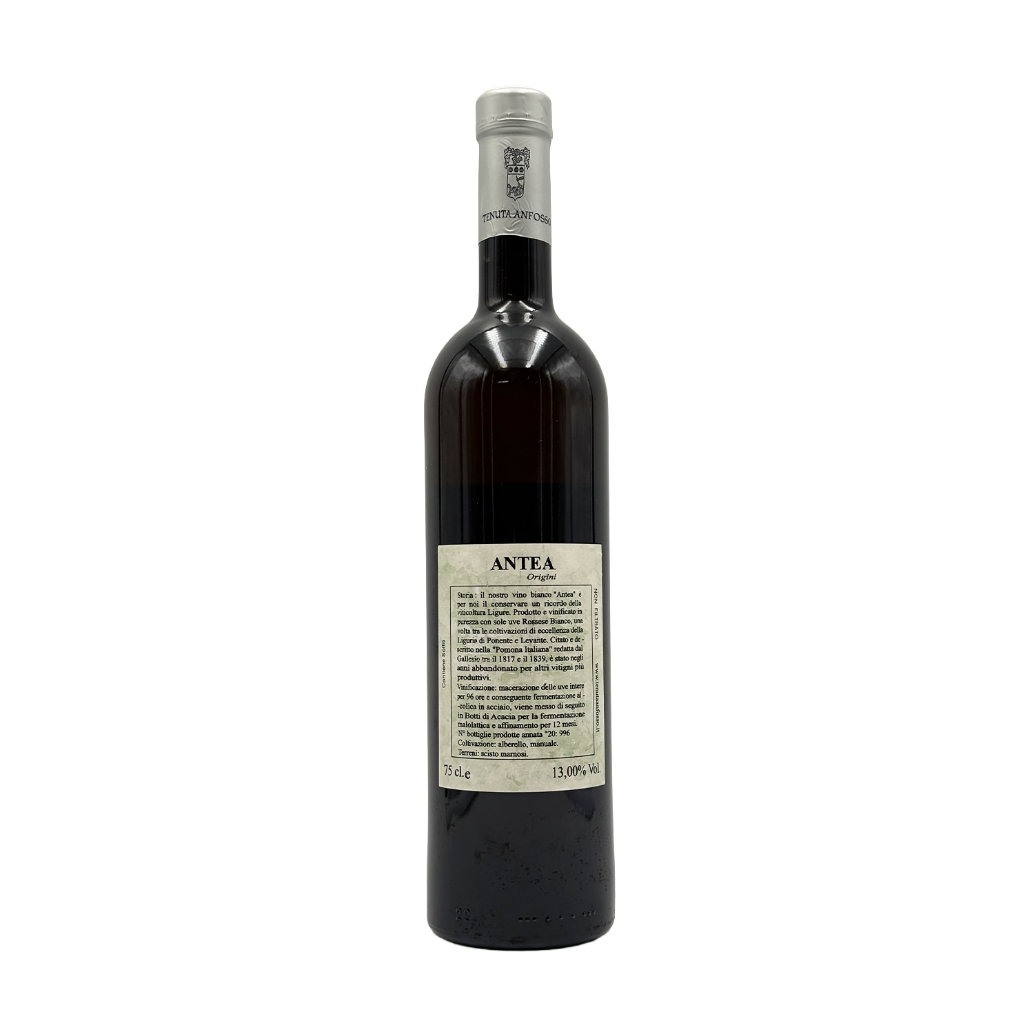 Antea Origini - Antea Origini - 2020