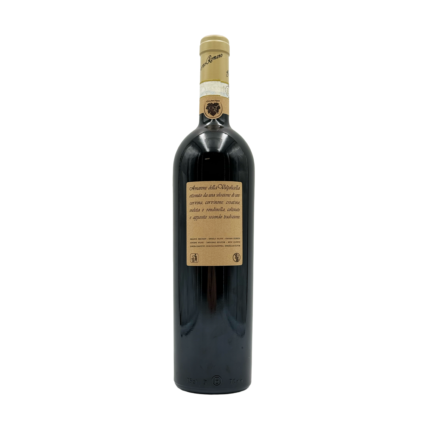 Dal Forno Romano - Amarone della Valpolicella Monte Lodoletta - 2009