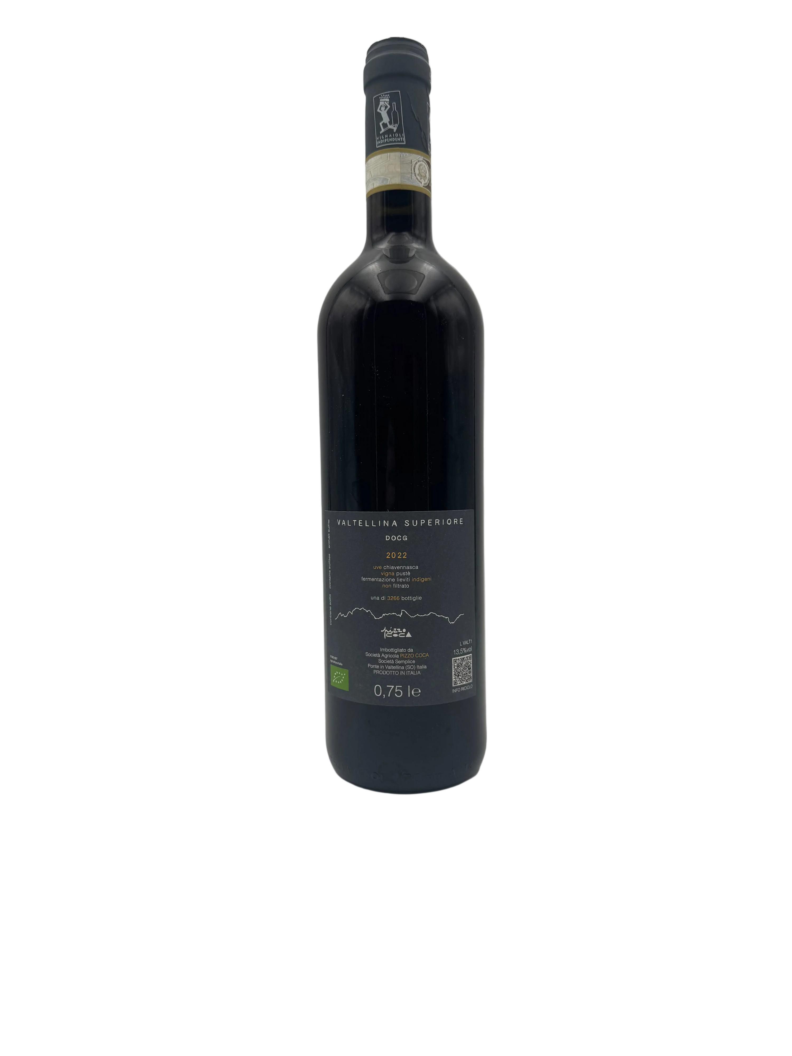 2022 - Pizzo Coca - Rino Valtellina Superiore