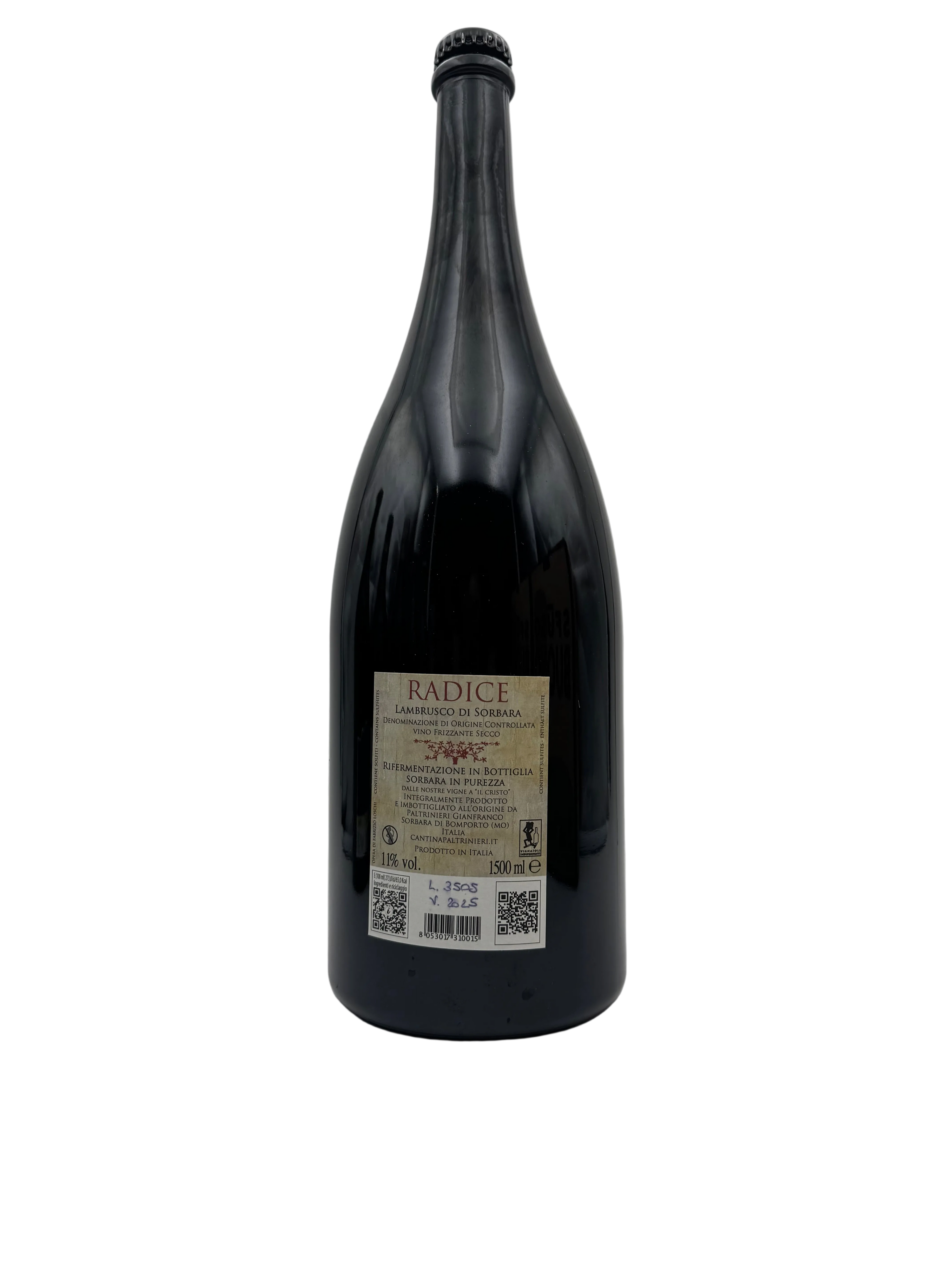 2025 - Paltrinieri - Radice - Magnum