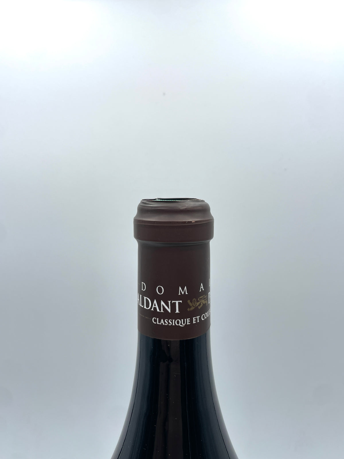 2018 - Domaine Maldant Pauvelot - Savigny Les Beaune 1er Cru - Magnum