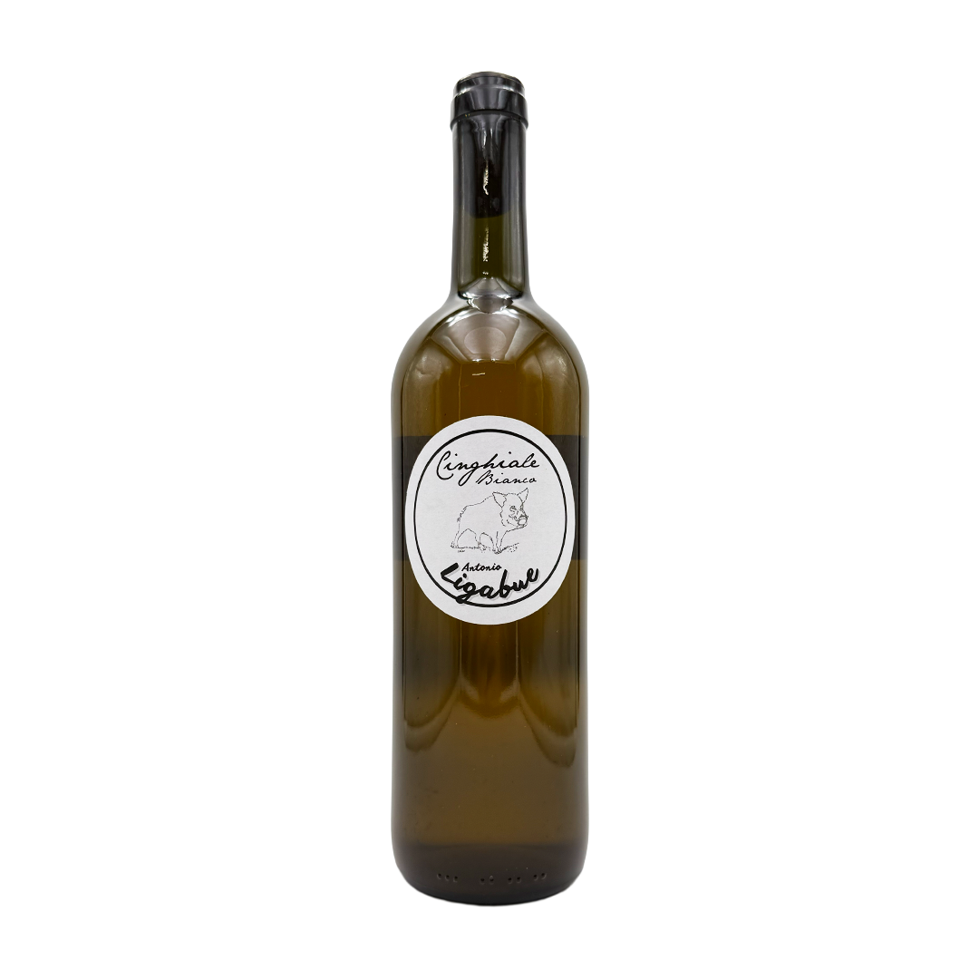 Ligabue Antonio - Cinghiale Bianco - 2023
