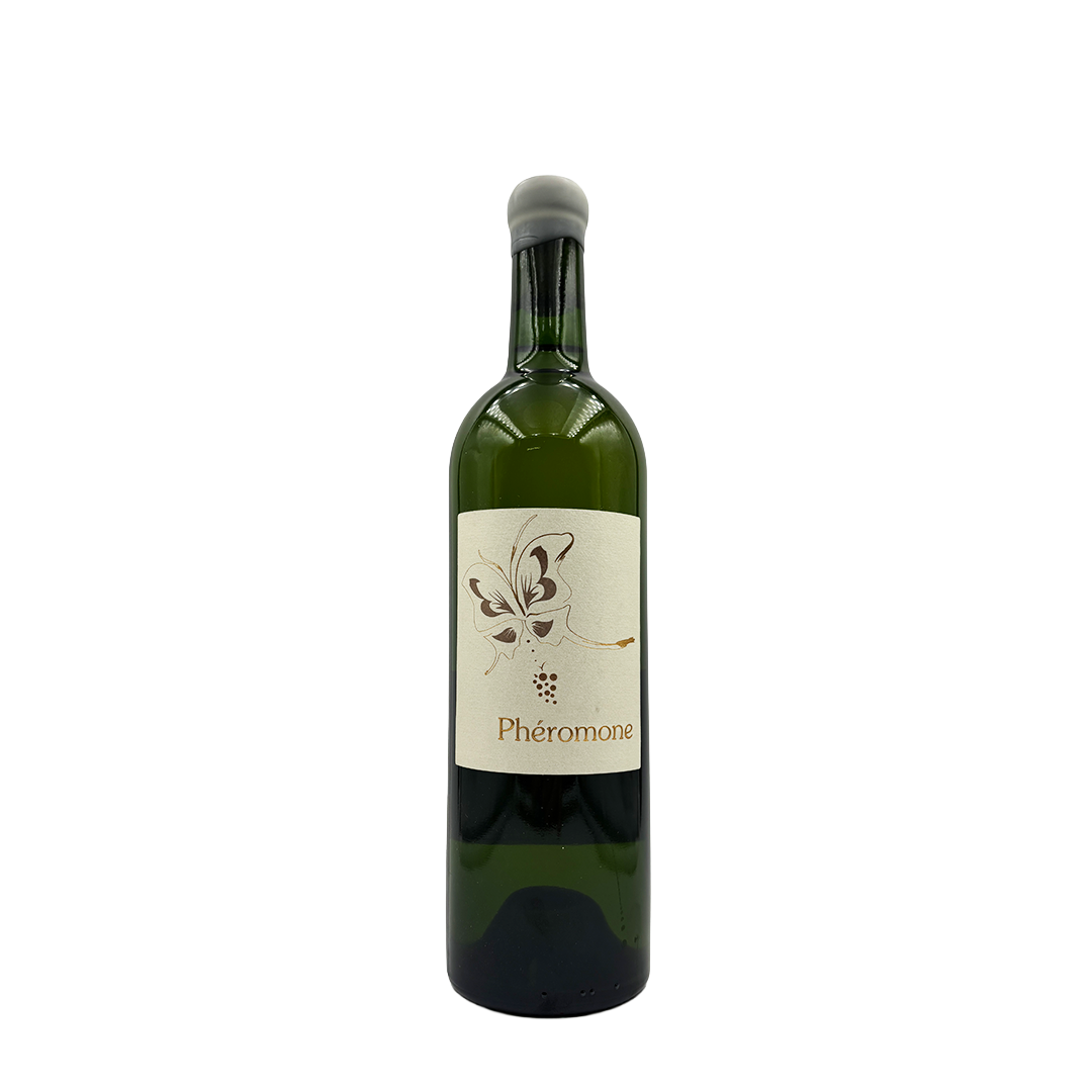 Osamu Uchida - Phéromone Blanc - 2022