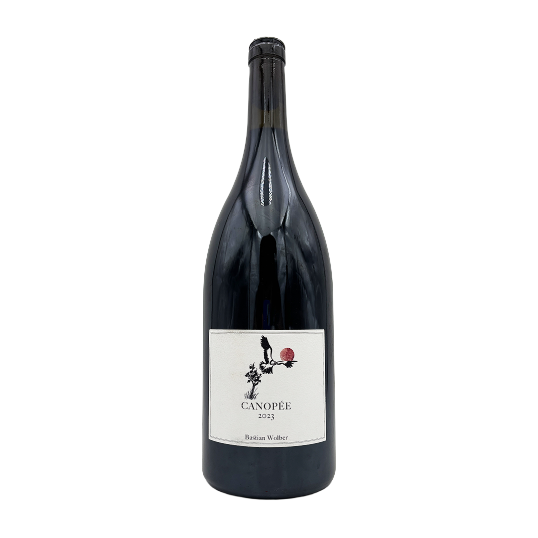 Bastian Wolber - Canopée - 2023 - Magnum
